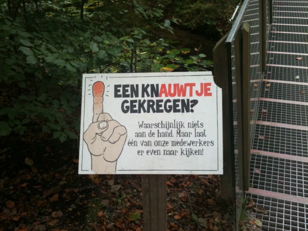 iphone as of Nov 6 2012 065.JPG